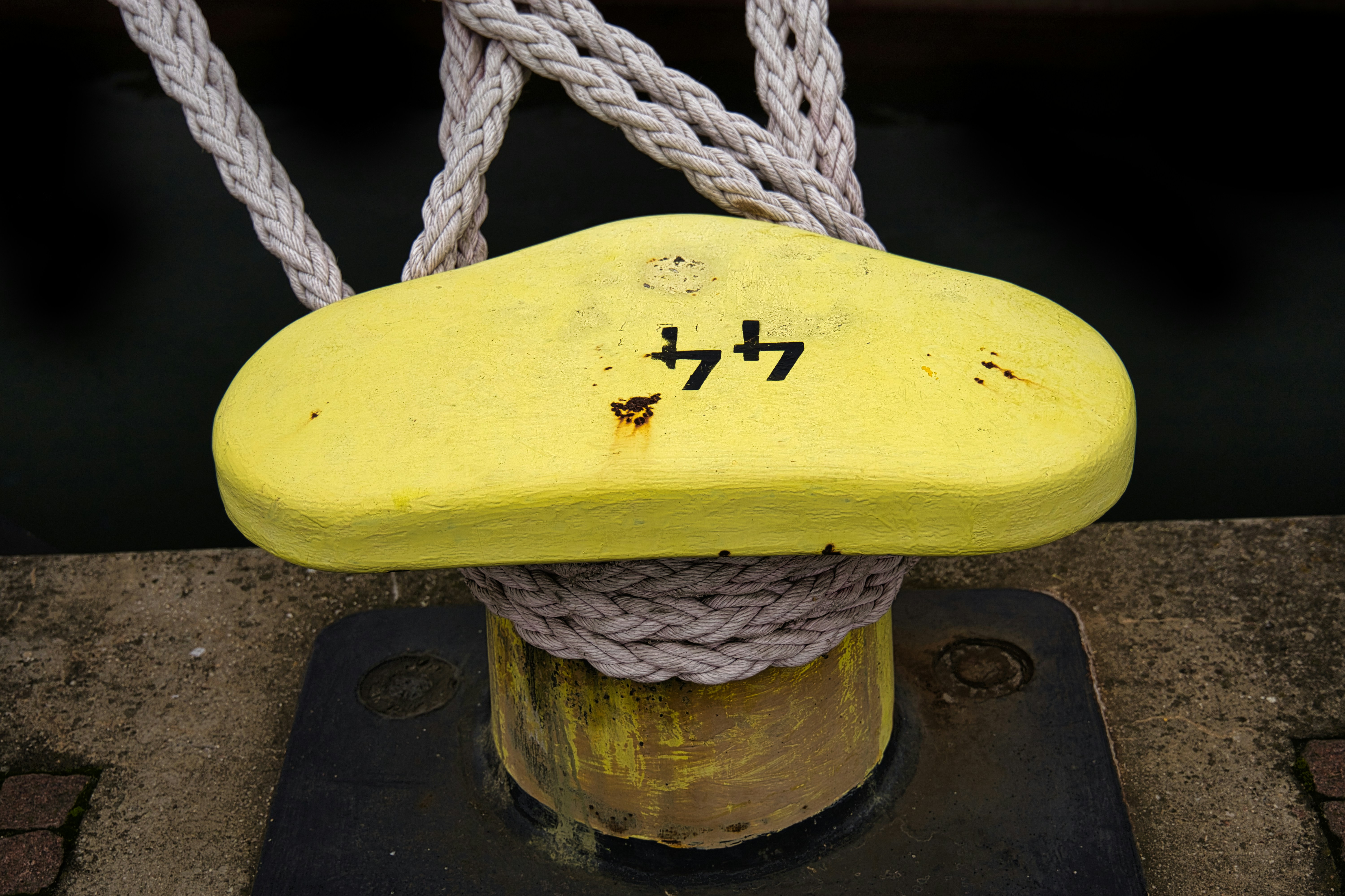 木の表面に黄色い果物