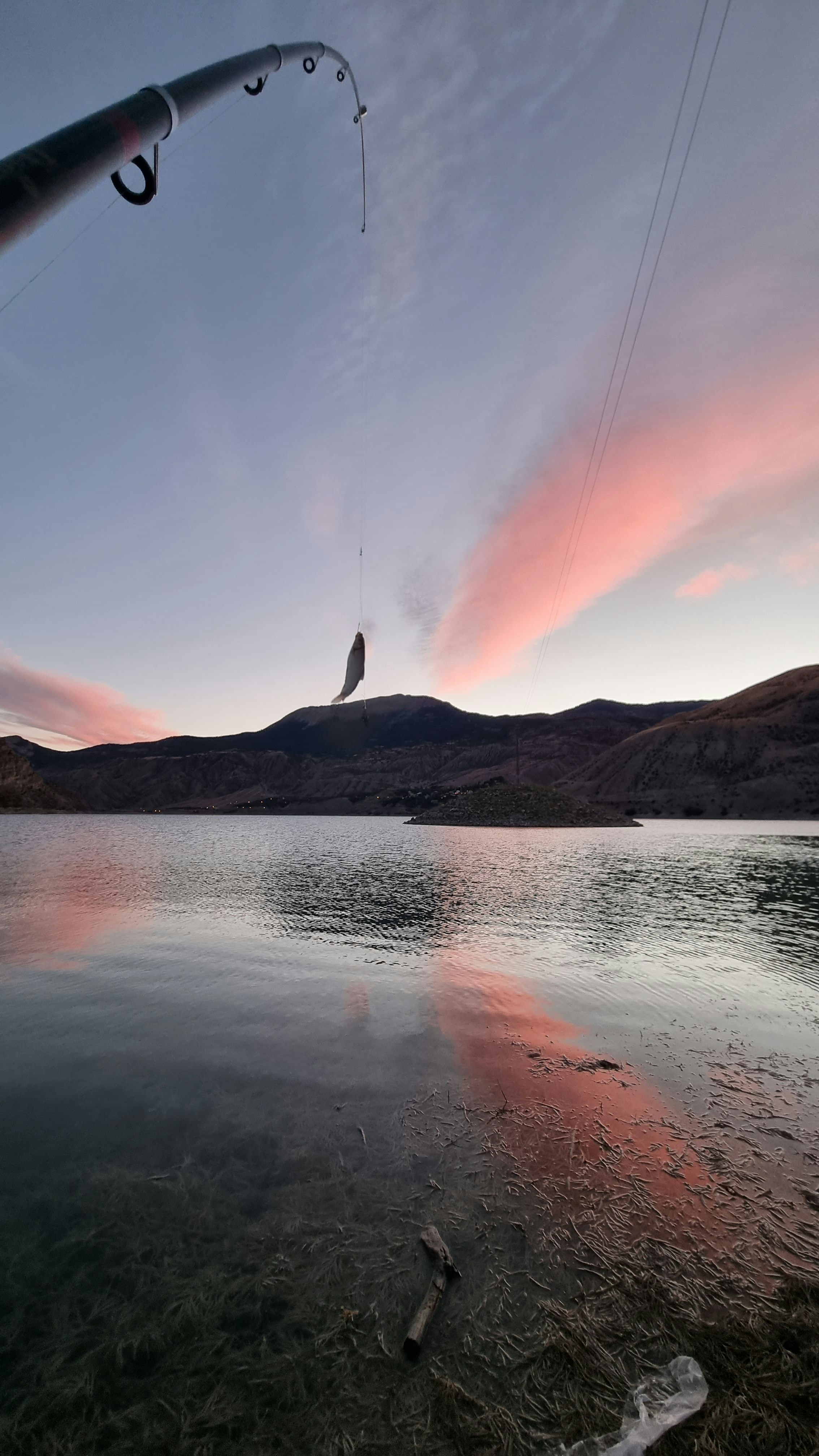 물고기를 잡는 꿈이 의미하는 다양한 해석과 그 상징성