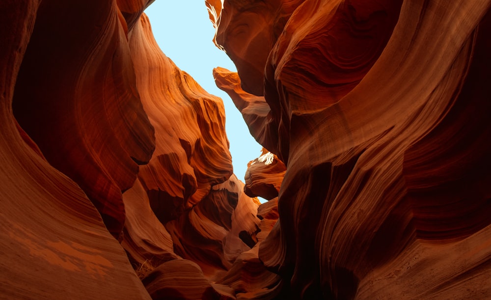 a close-up of a canyon