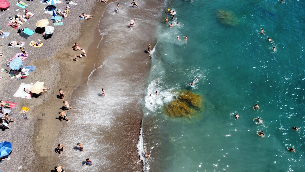 people swimming in the water