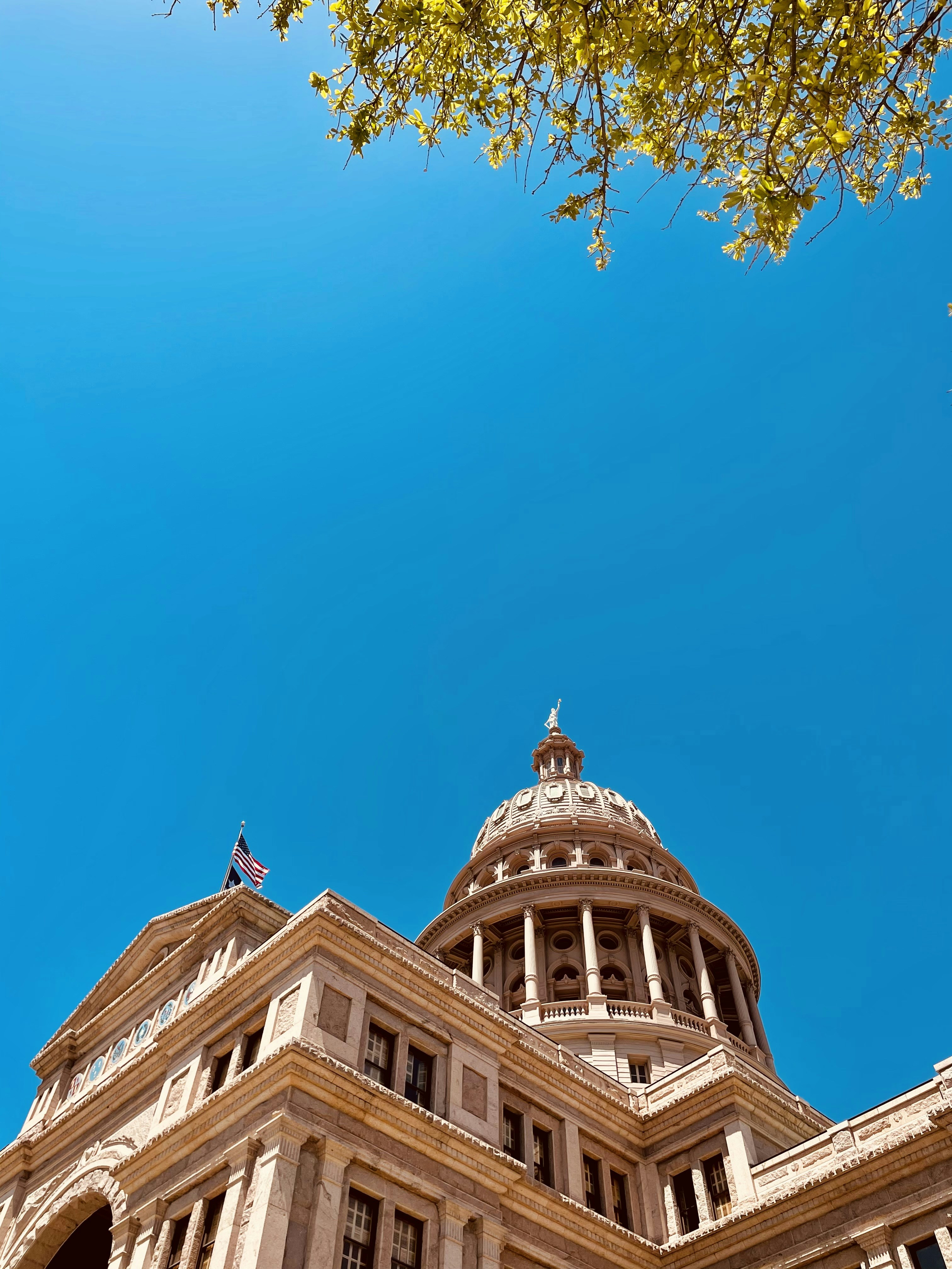 Texas State Capitol