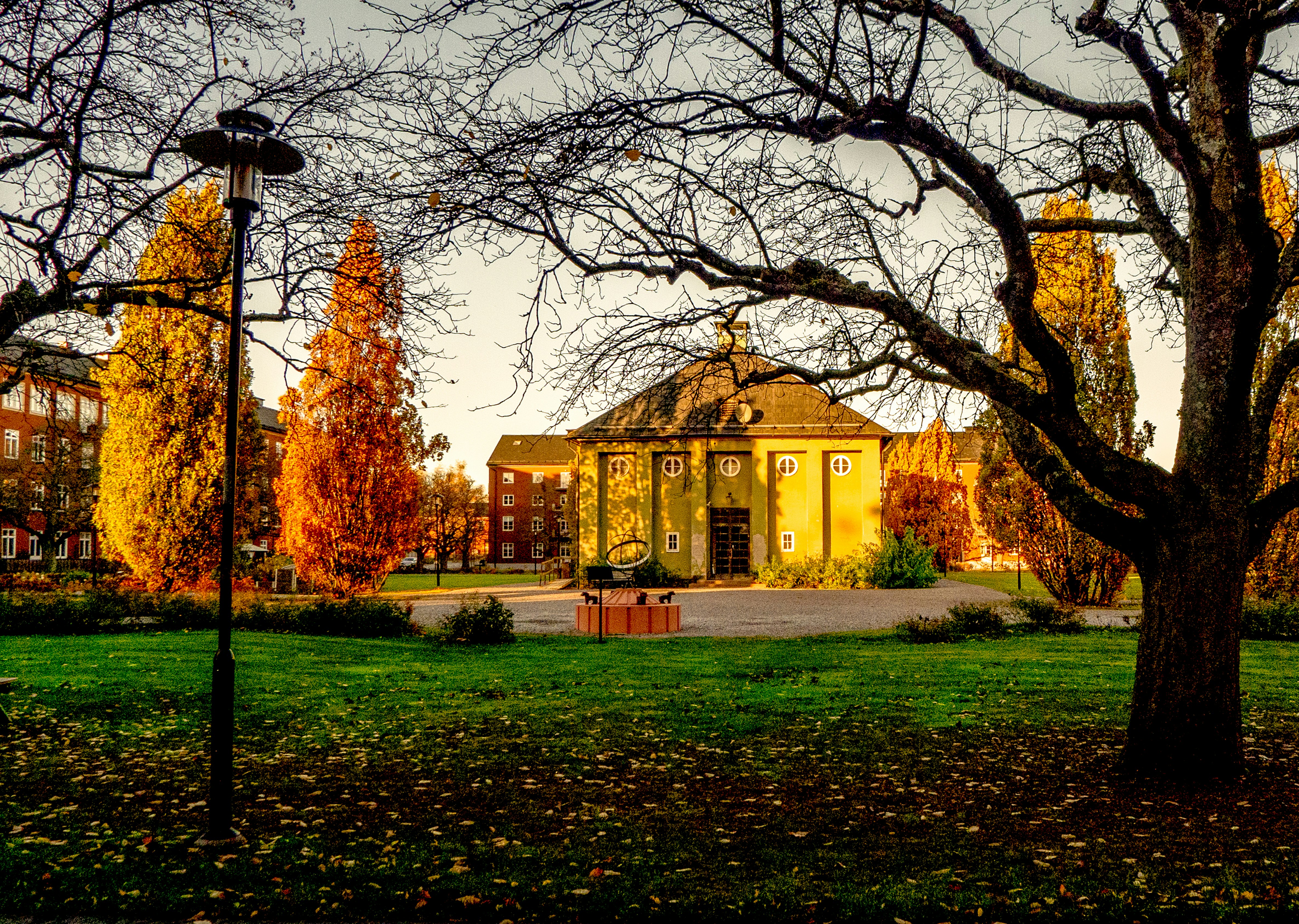 a yellow house with a large yard