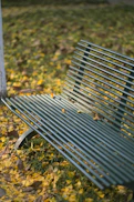 a bench in a park