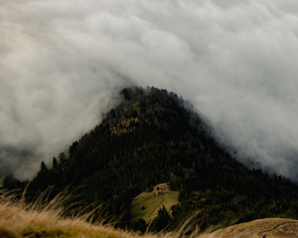 a grassy hill with clouds above