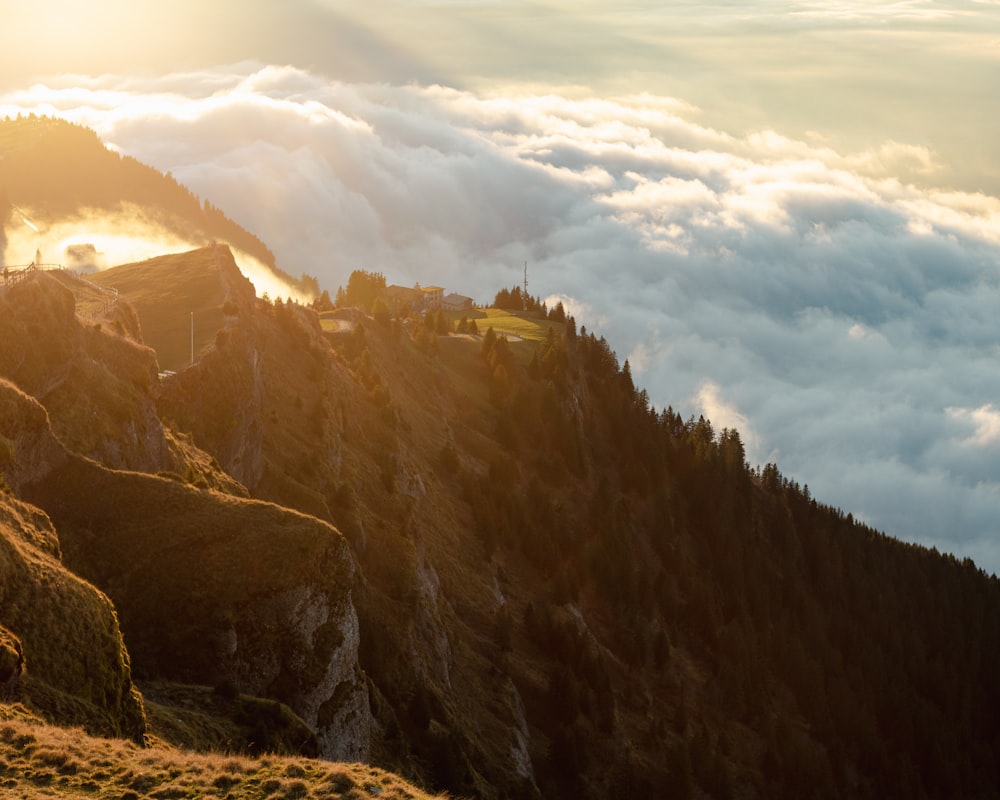 une colline rocheuse avec du brouillard