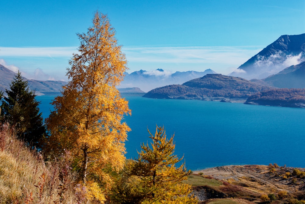 a body of water with trees and mountains in the background