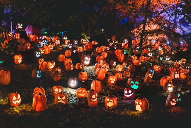 A field full of glowing carved pumpkins at night