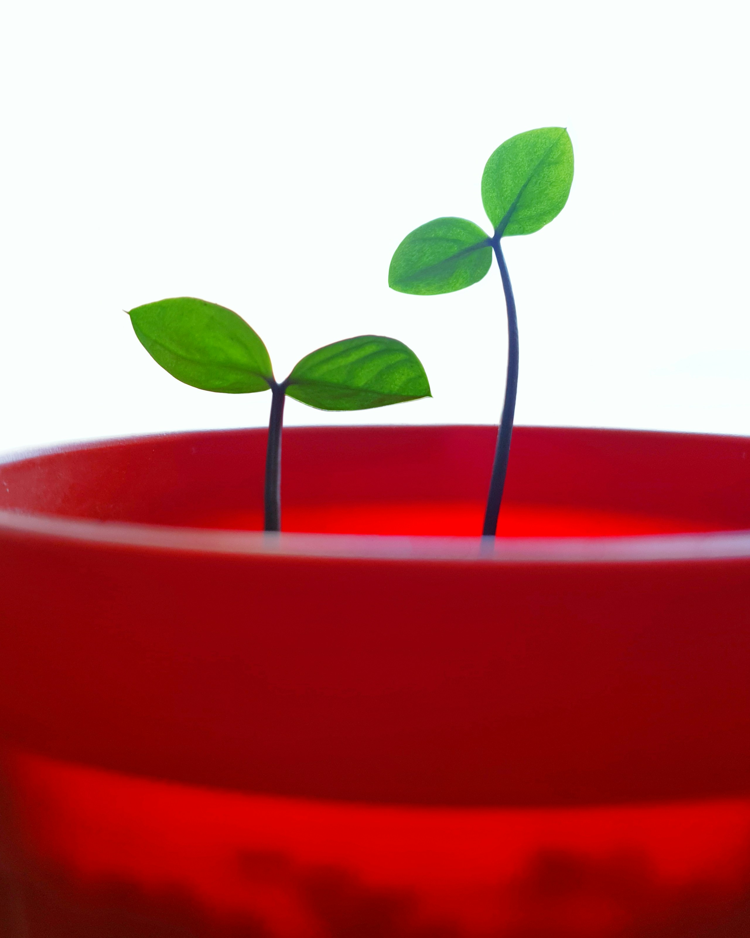 adership extends beyond internal teams; it also affects how your business interacts with customers - how positive leadership cultivates entrepreneurial success