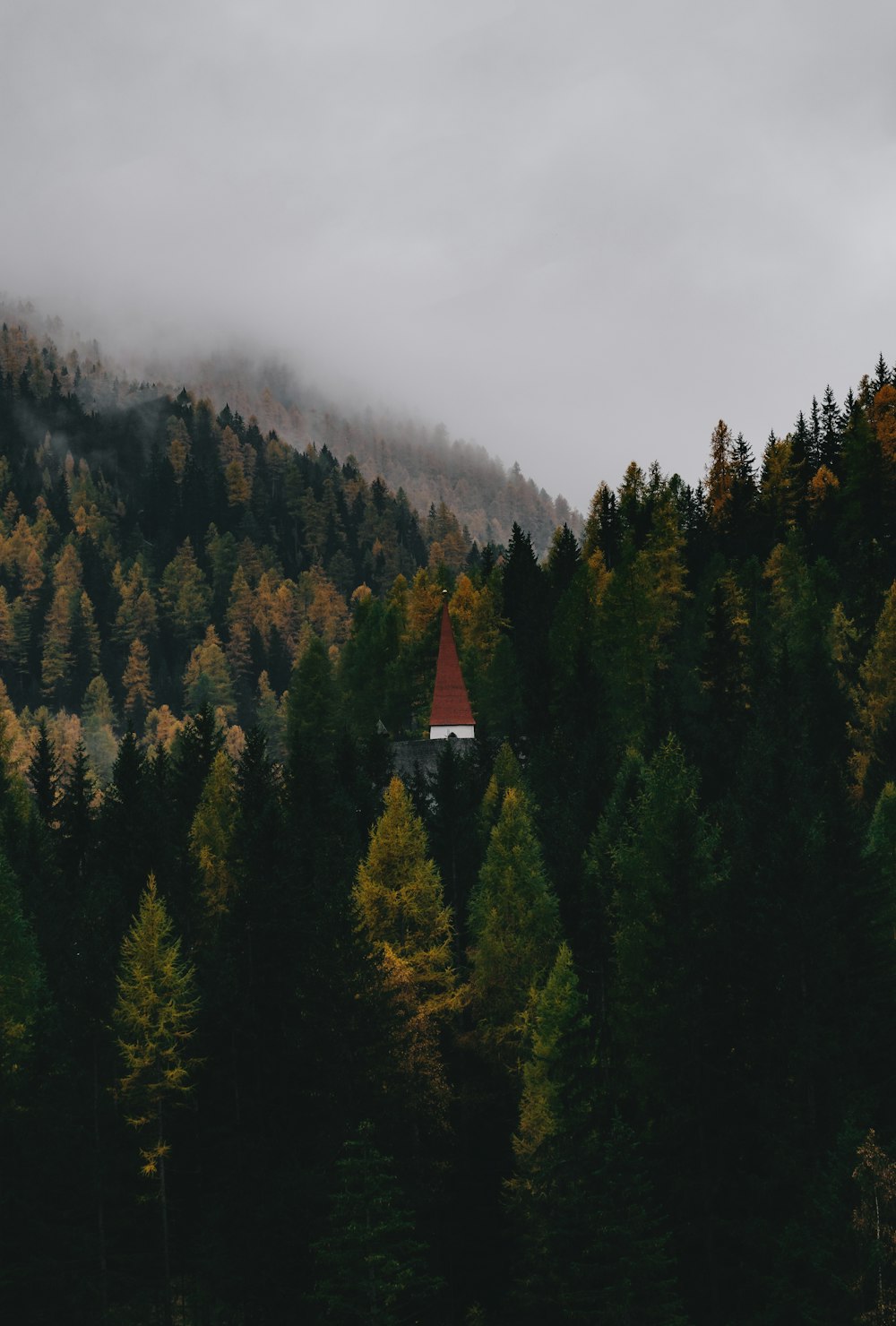 a red steeple in a forest
