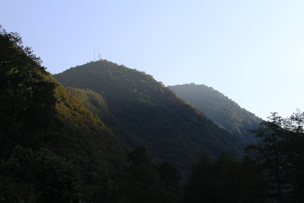 a hill with trees on it