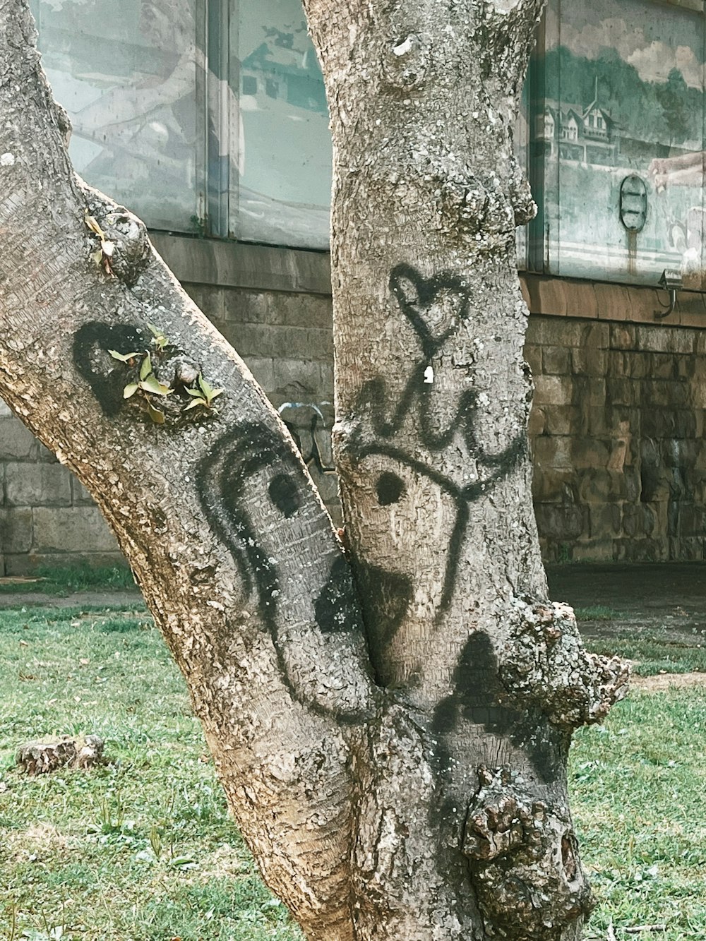 a tree with a skull on it