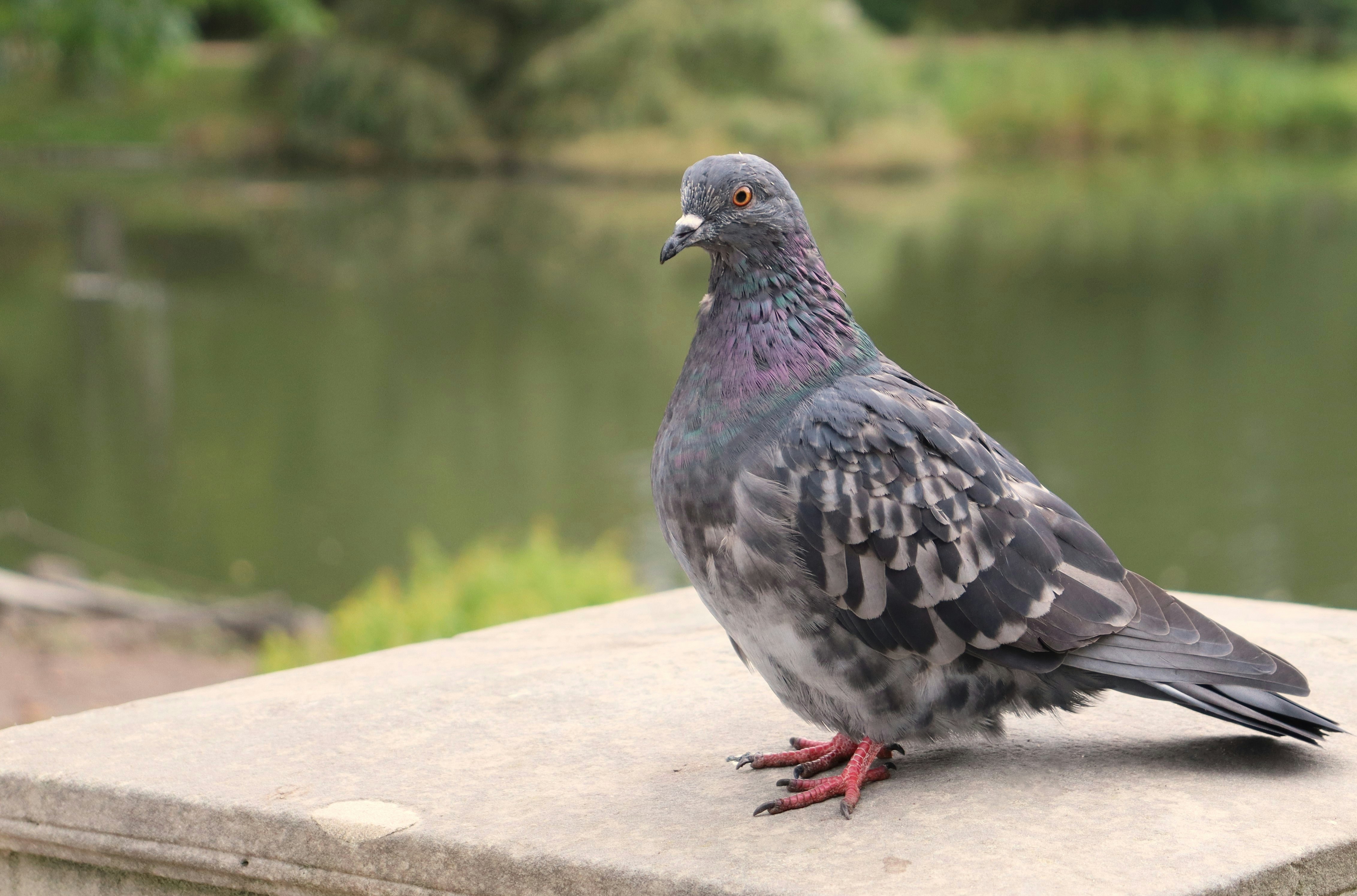 Photo by alicja_photos