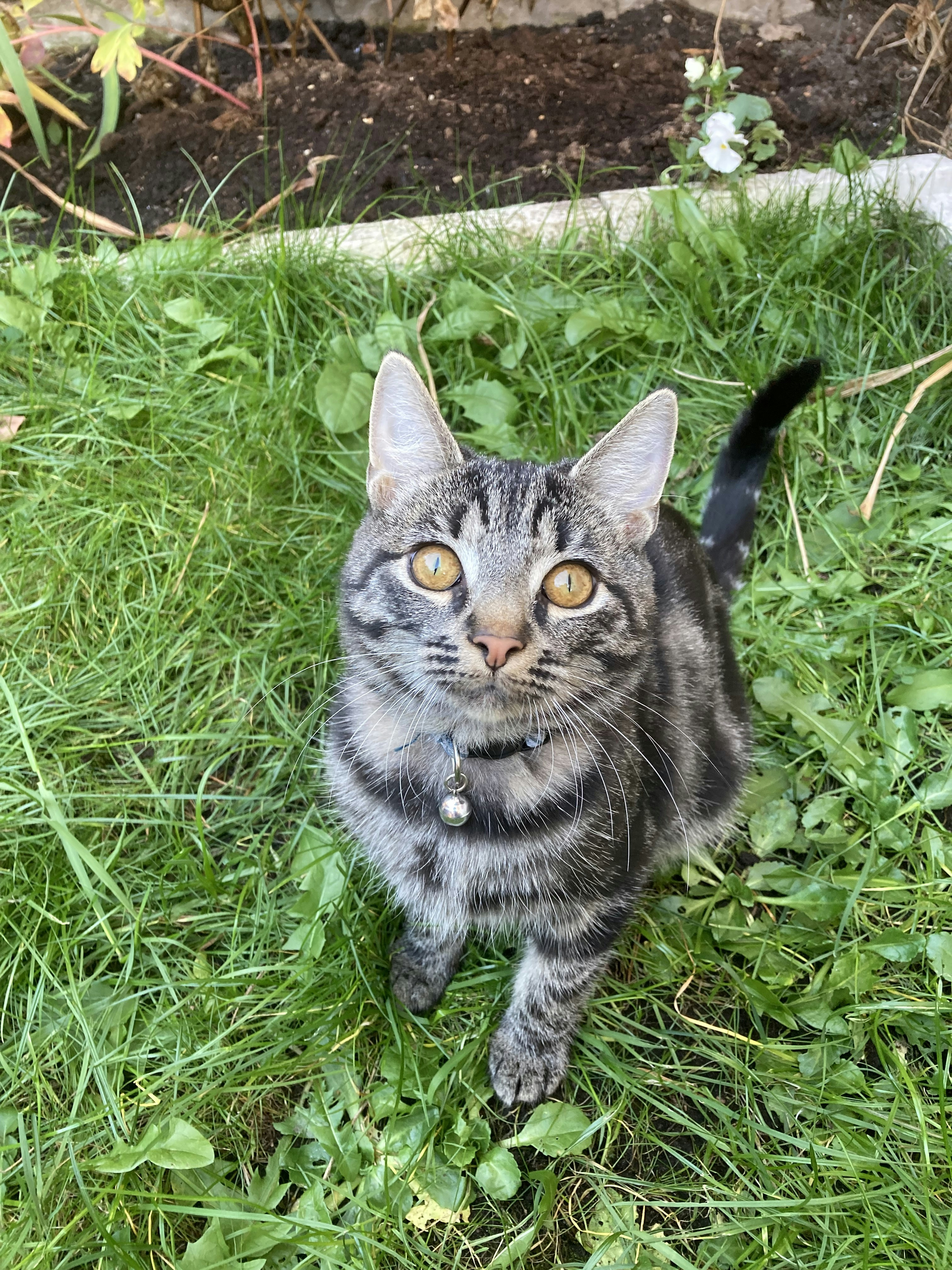 Photo by sandralindh