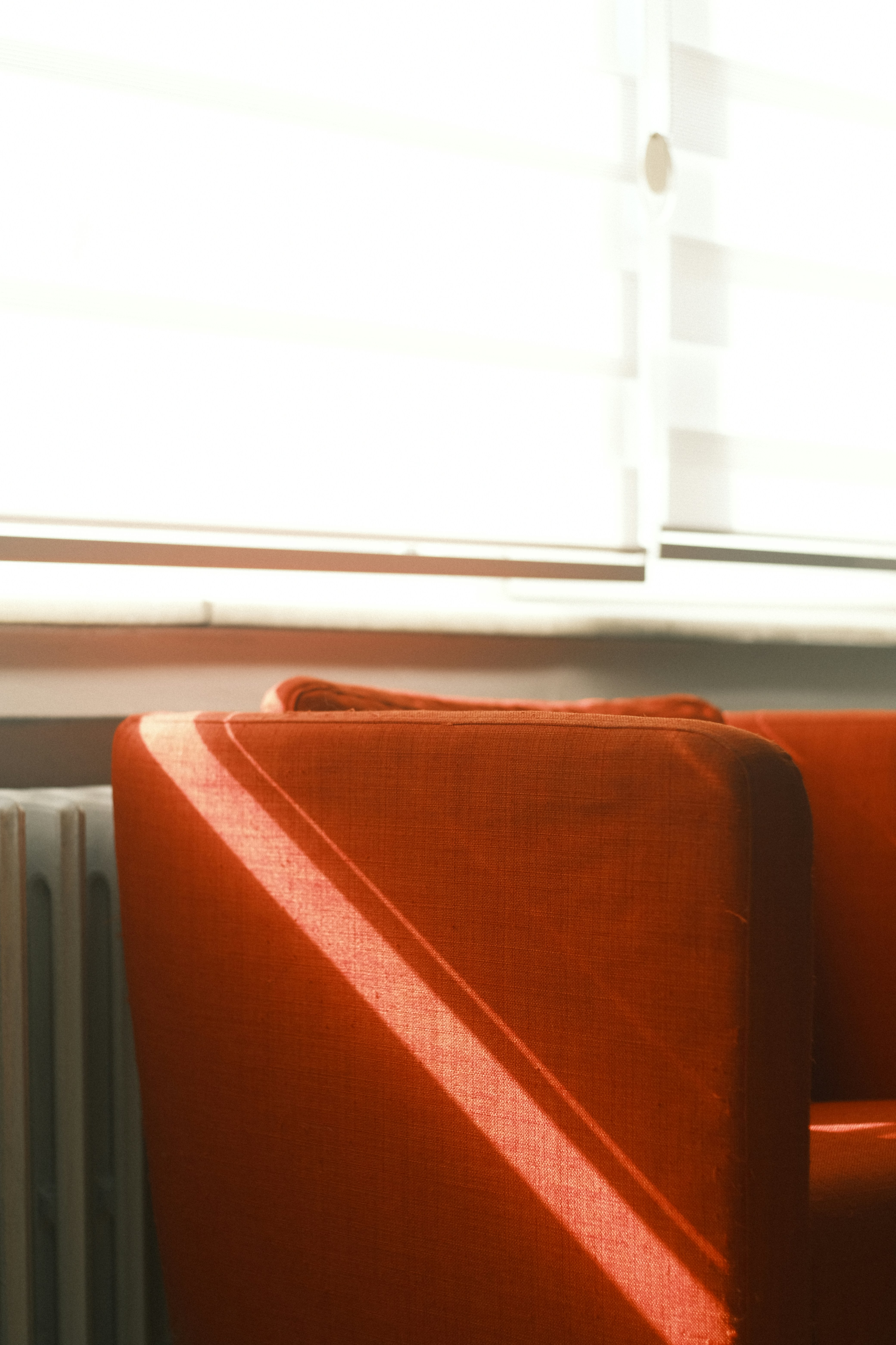 Photo by aliramazanciftci