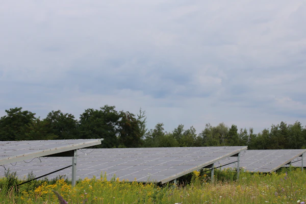 Paneles solares para energía alternativa en el preparacionismo
