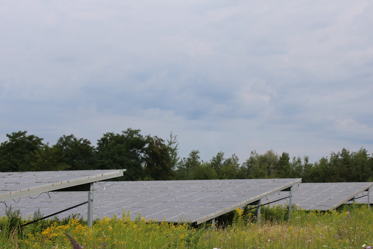 Paneles solares instalados en campo abierto para energía alternativa en el preparacionismo