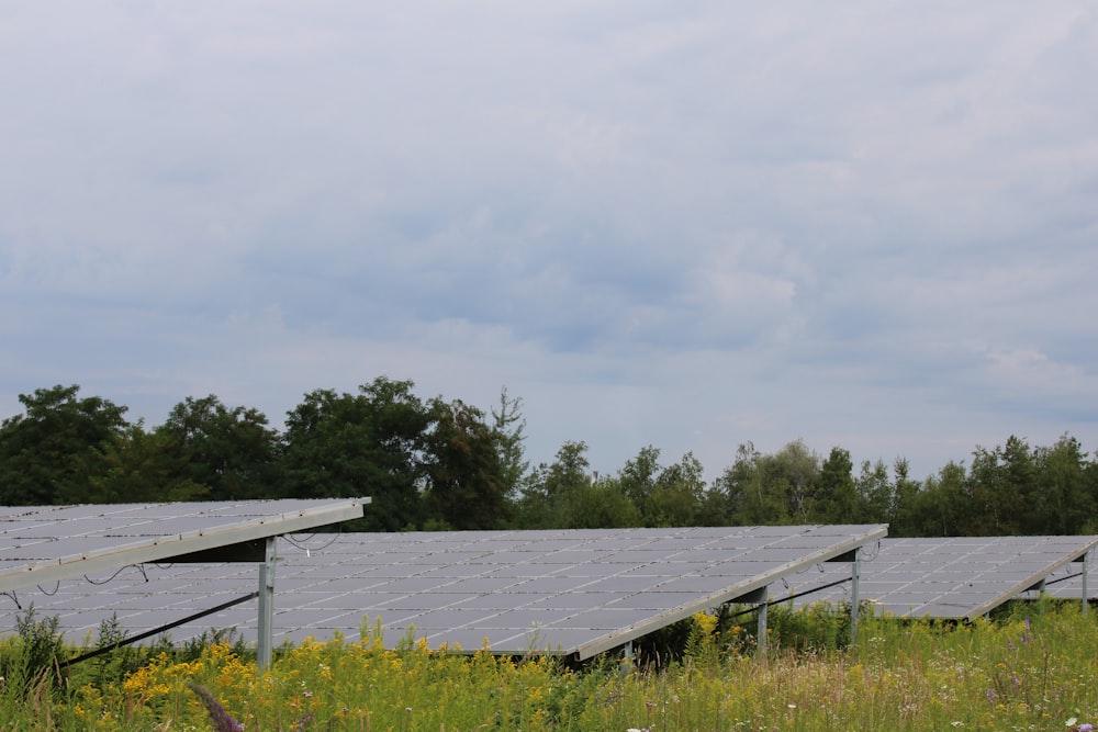 a wooden bridge over a field of grass