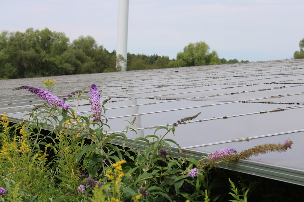 a solar panel on a roof