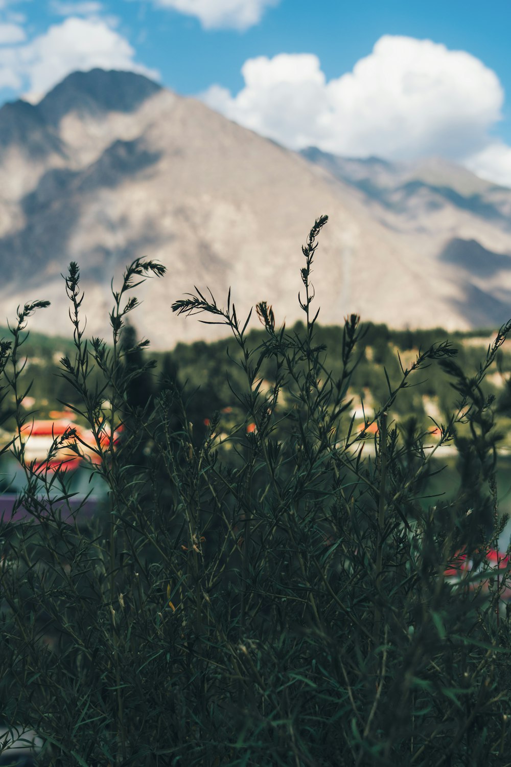 a mountain range behind a field