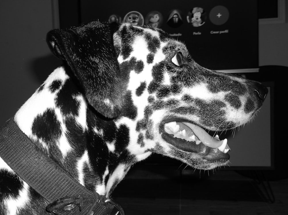 a black and white photo of a dog with its mouth open