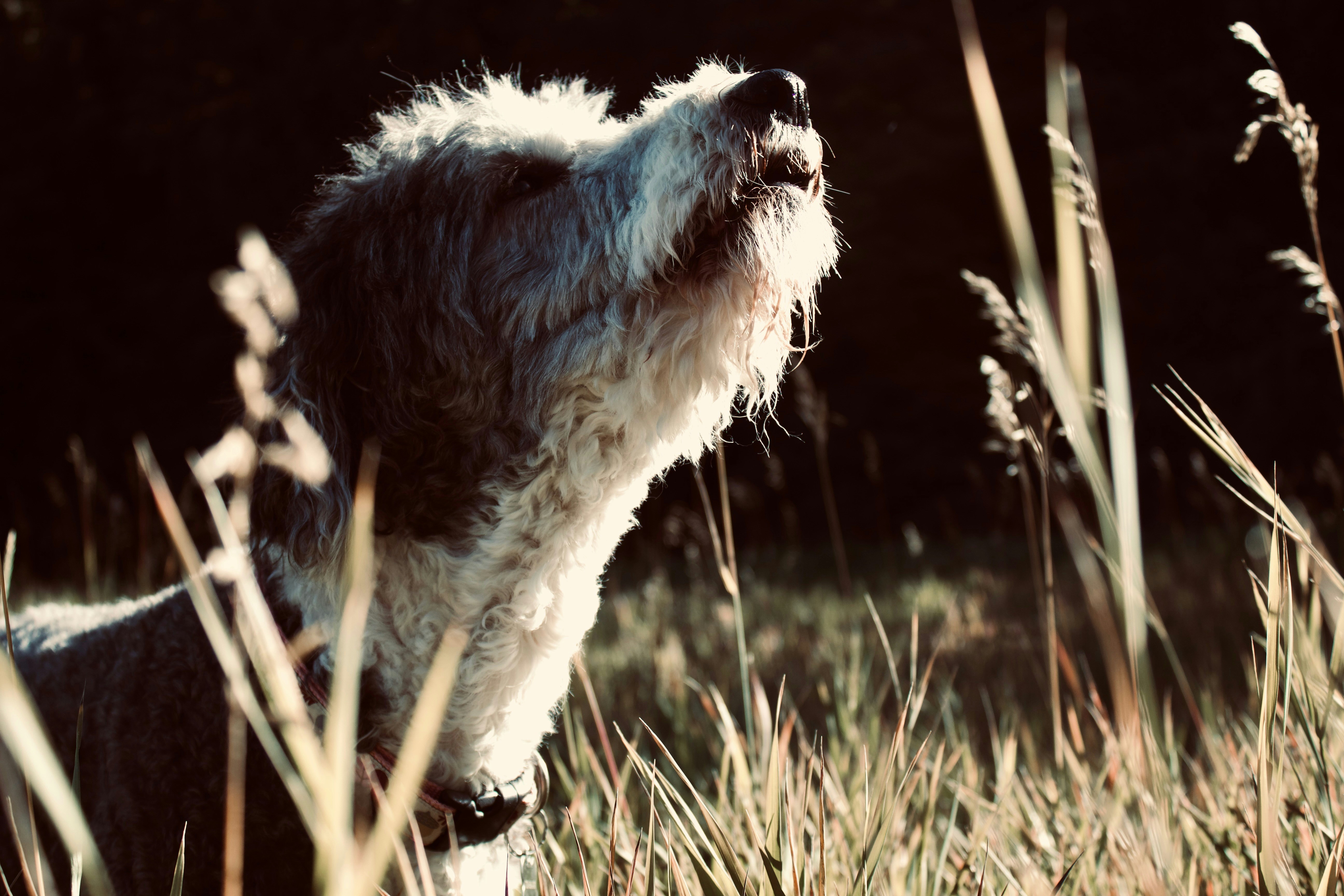 Photo by aspen_dianne