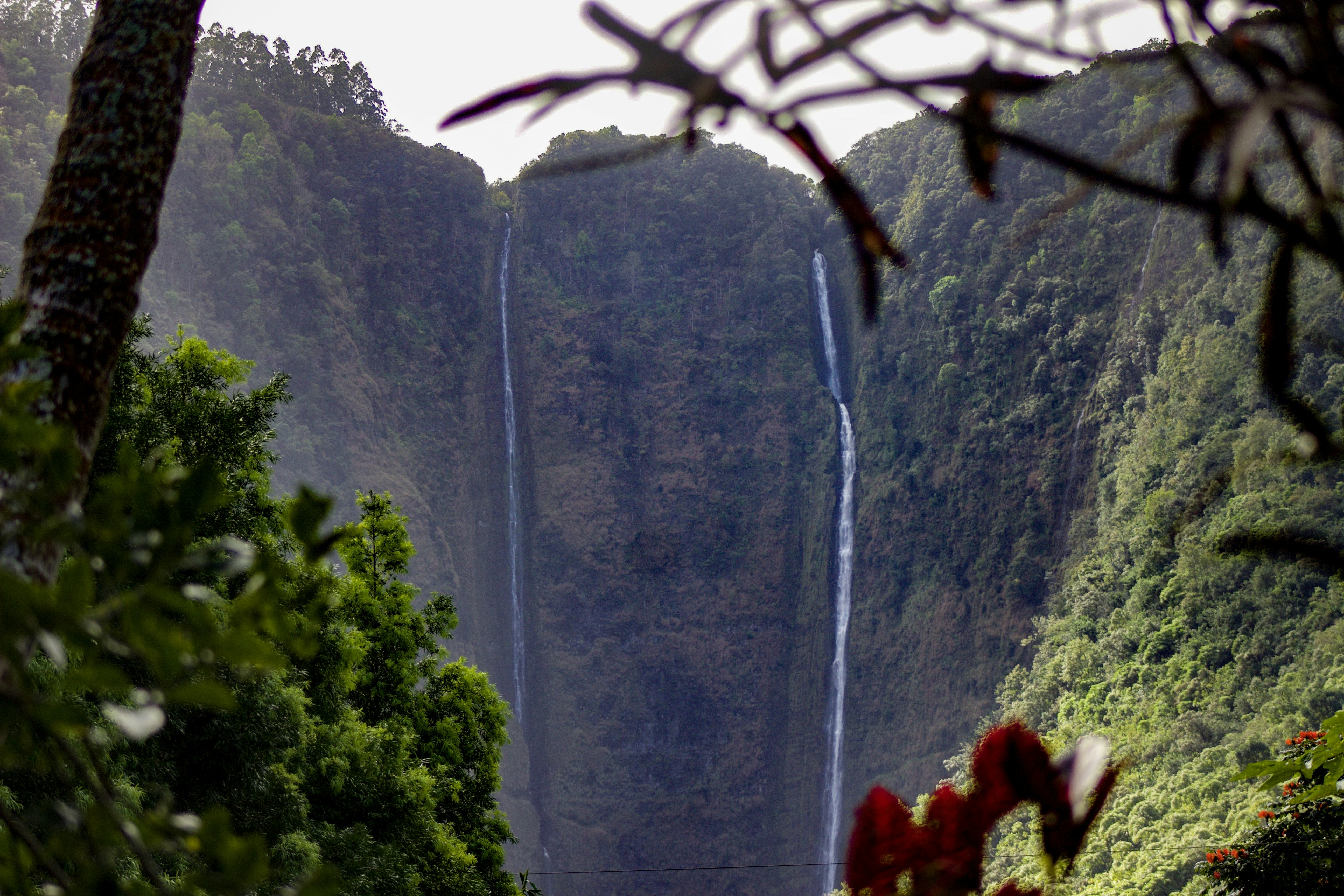 A photo of Waipio Valley on the Big Island of Hawaii, showcasing lush green cliffs, a black sand beach, and multiple waterfalls cascading down the cliffs into the valley. [Photo by Micah Alameda on Unsplash]