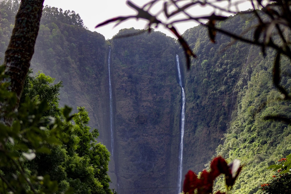 a waterfall in a forest