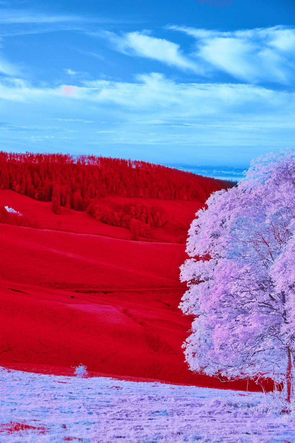 a red lake with trees in the background