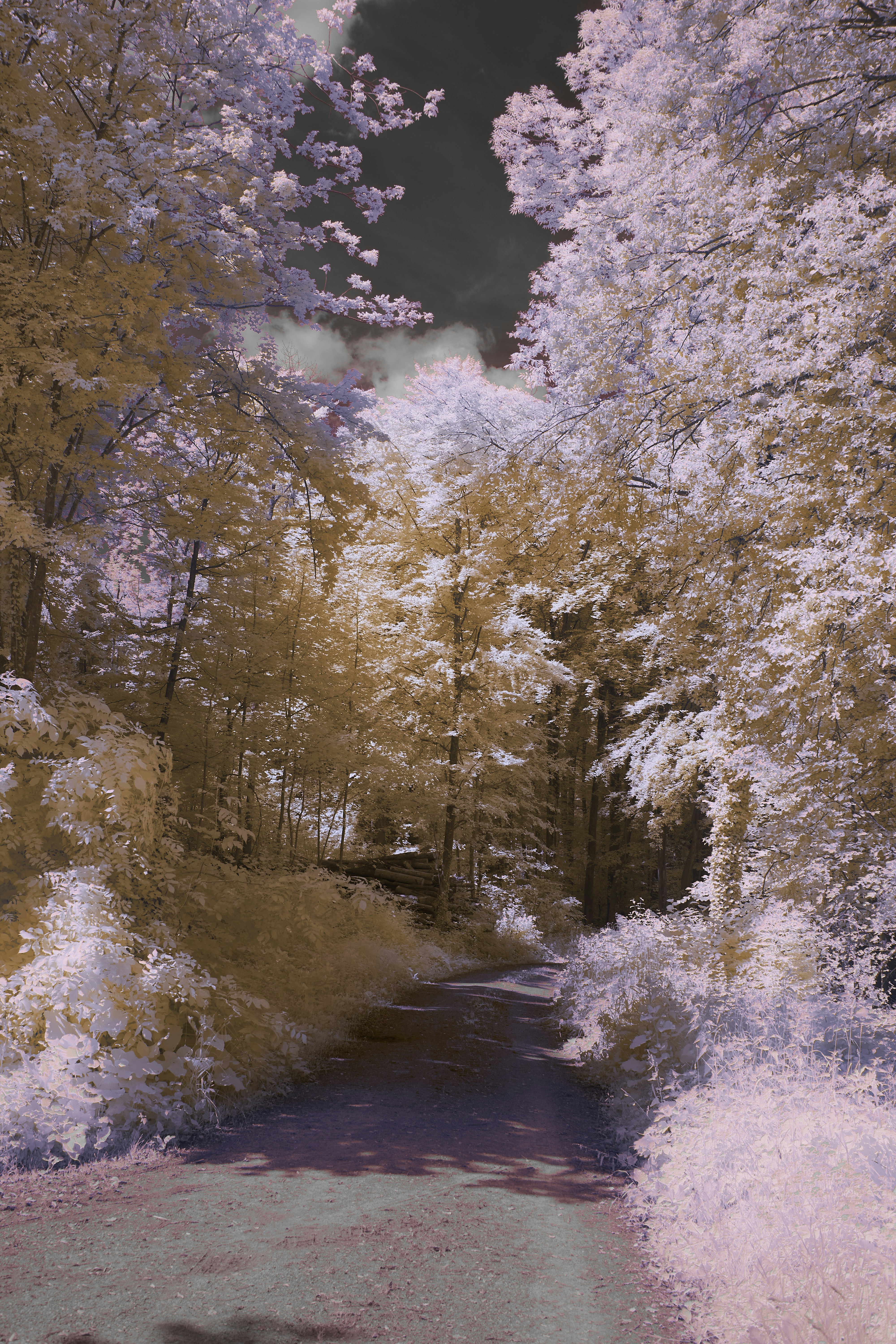 Photo by wolfgang_hasselmann