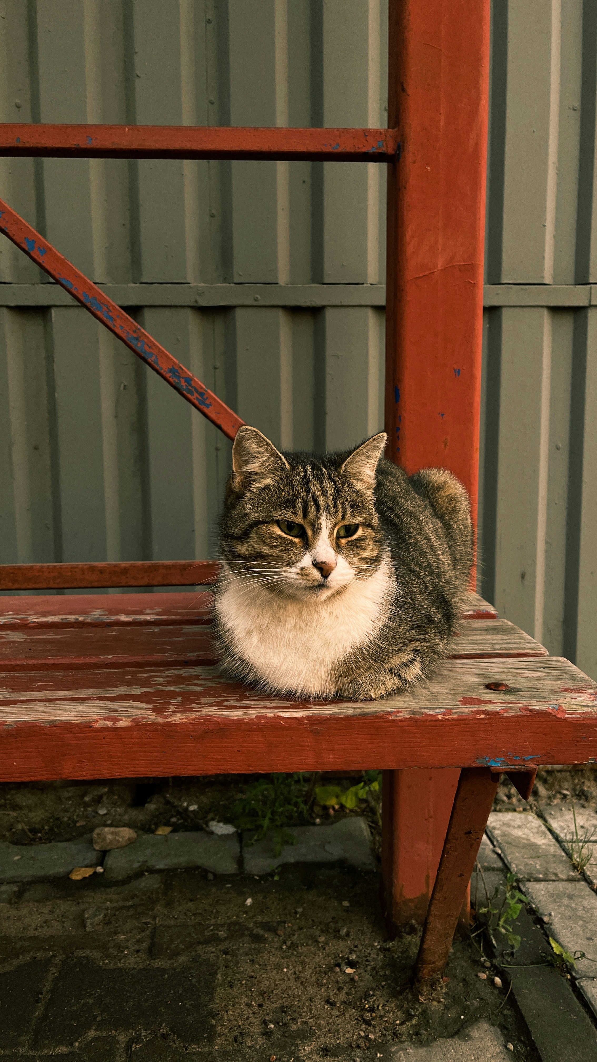 Photo by pics_studio