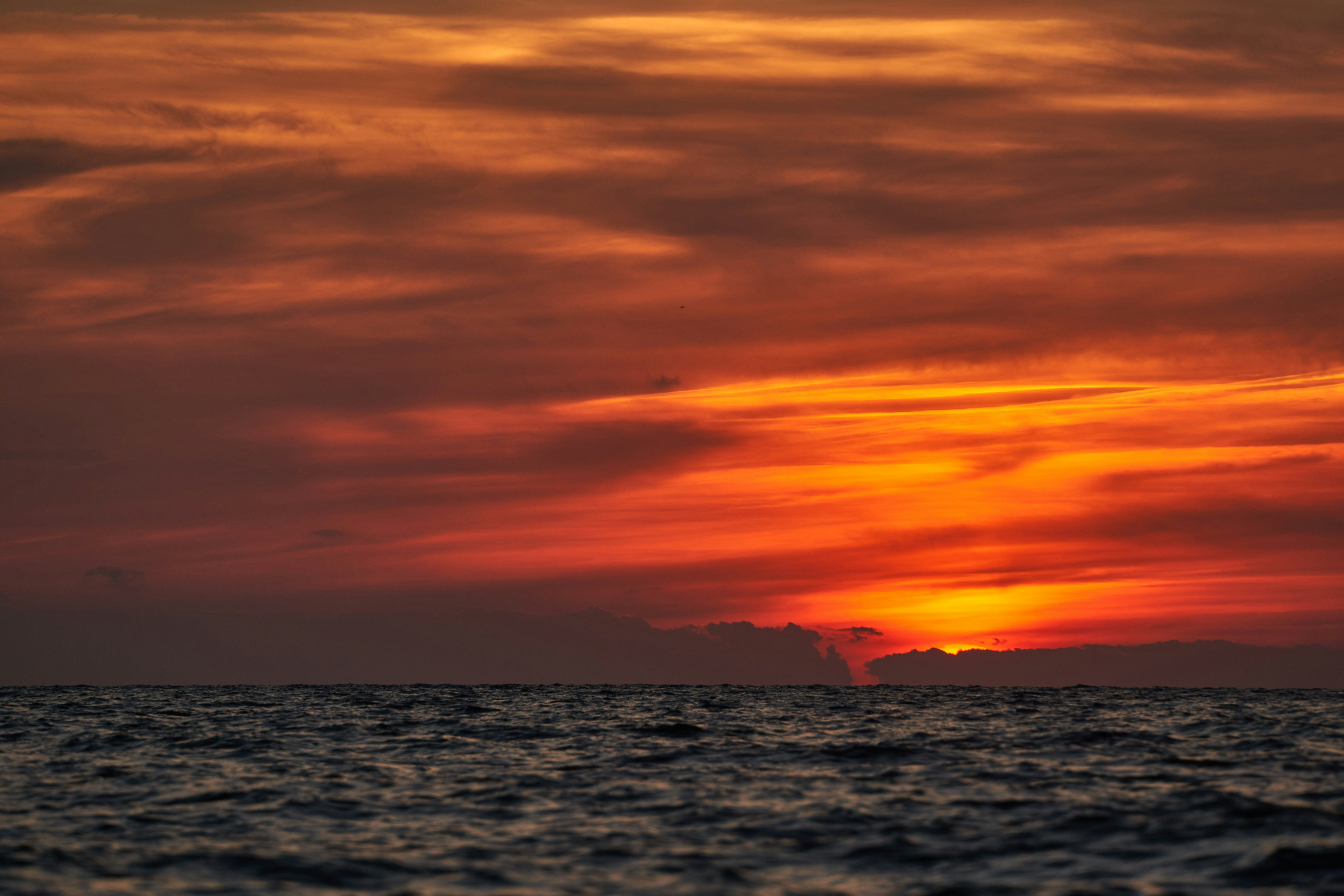 Photo by wolfgang_hasselmann