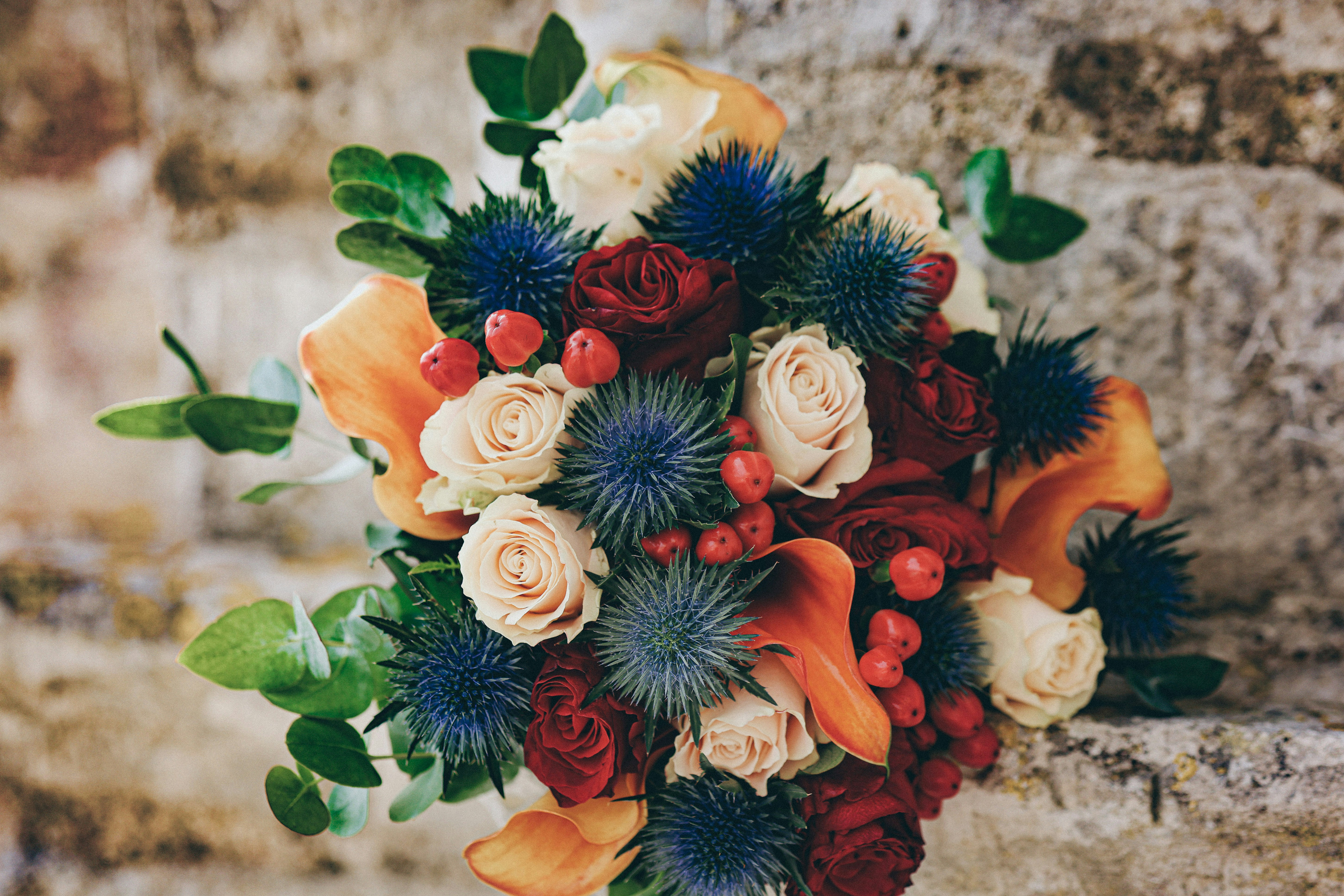 Photo by nickkarvounis