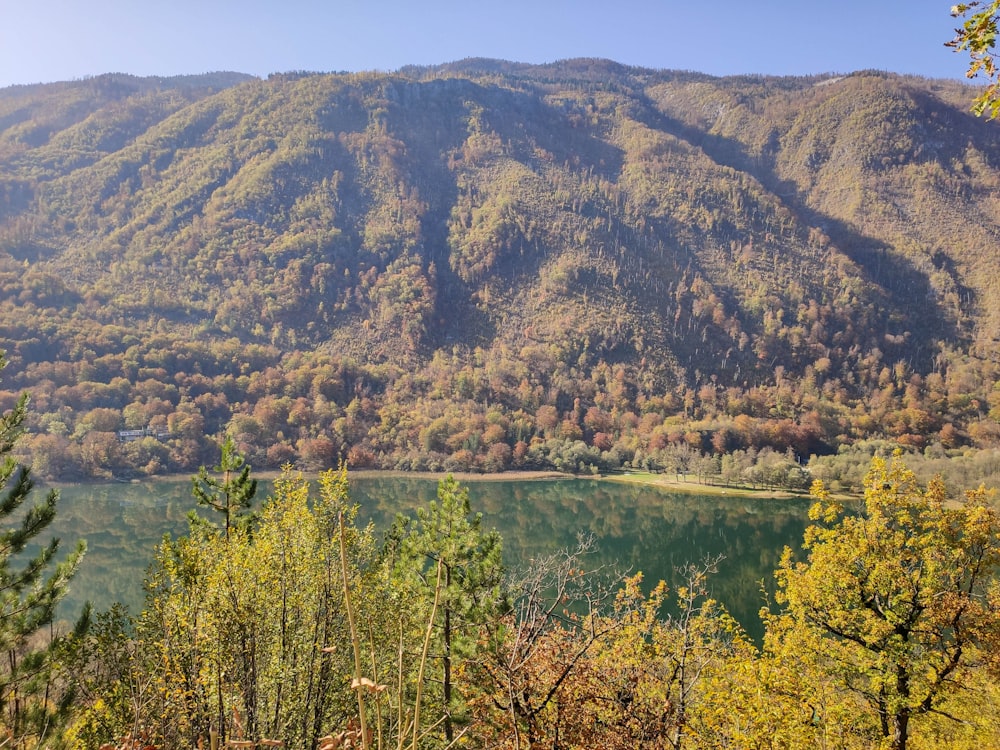 a lake surrounded by trees and mountains