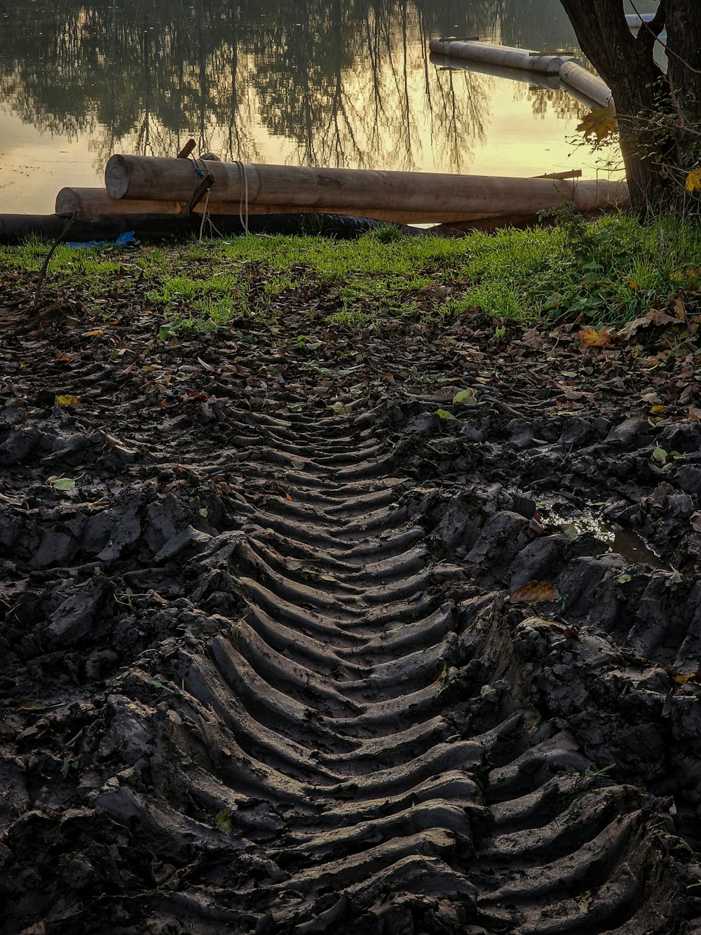 a net on a rock