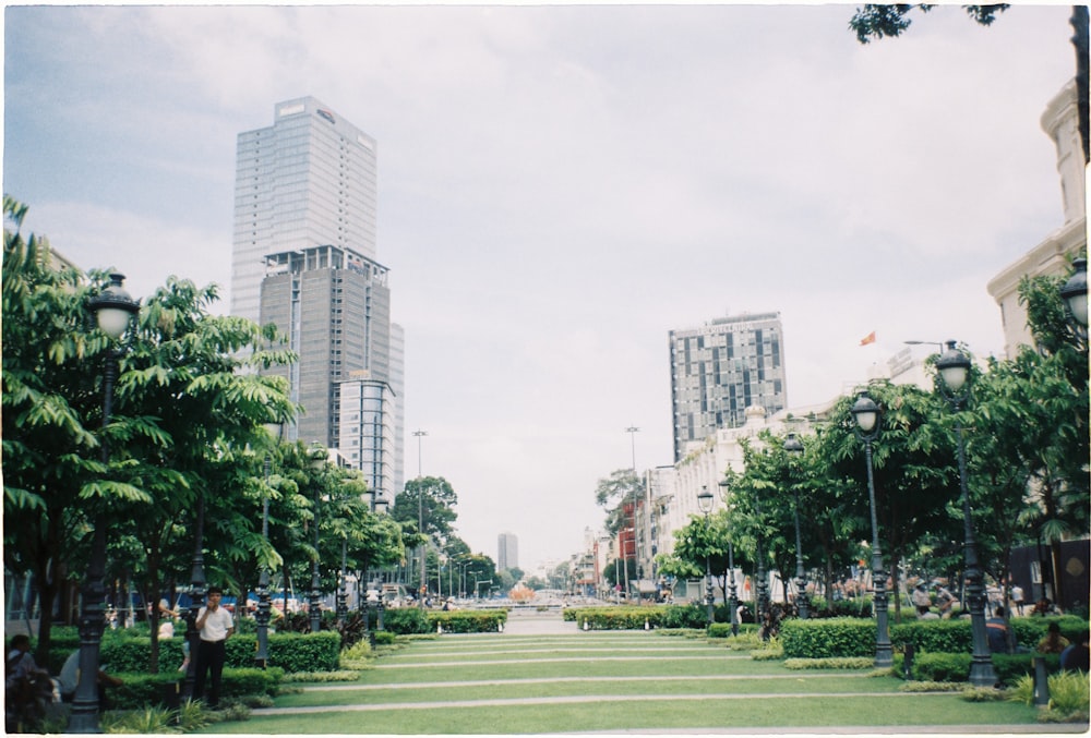 a park with trees and tall buildings