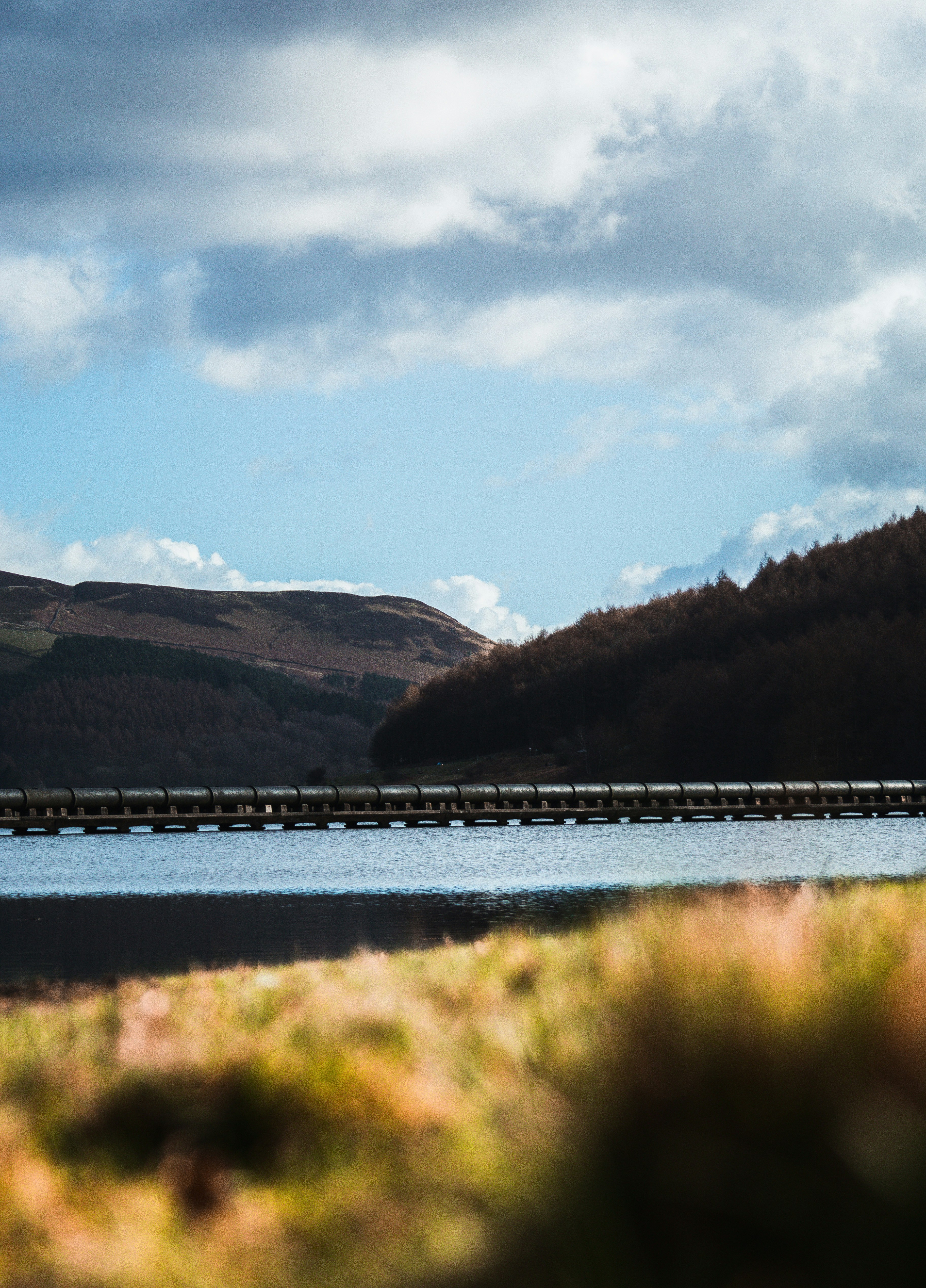 Photo by simoncheung207