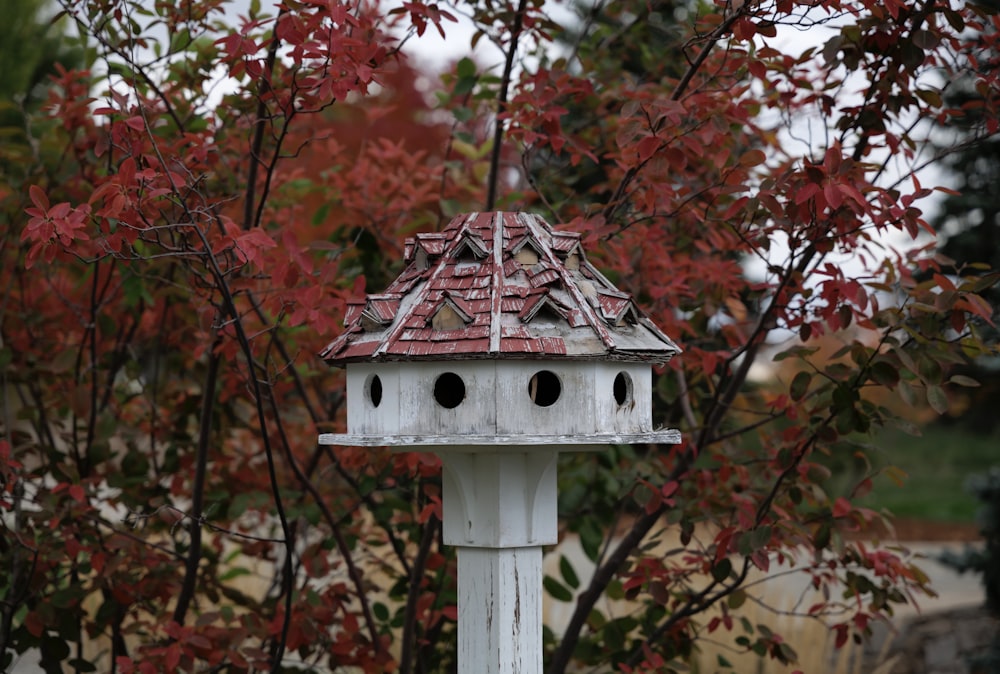Una pajarera con una casa para pájaros