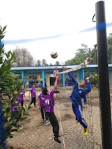 A group of young people are playing volleyball on a court near a blue building. One player, dressed in blue, is jumping to hit the ball over the net while other players in purple uniforms watch and prepare to engage. The court is outdoors, surrounded by greenery, with a clear sky above.