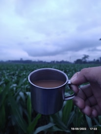 Hands holding a filled stainless steel cup outdoors, sunlight highlighting the metal.