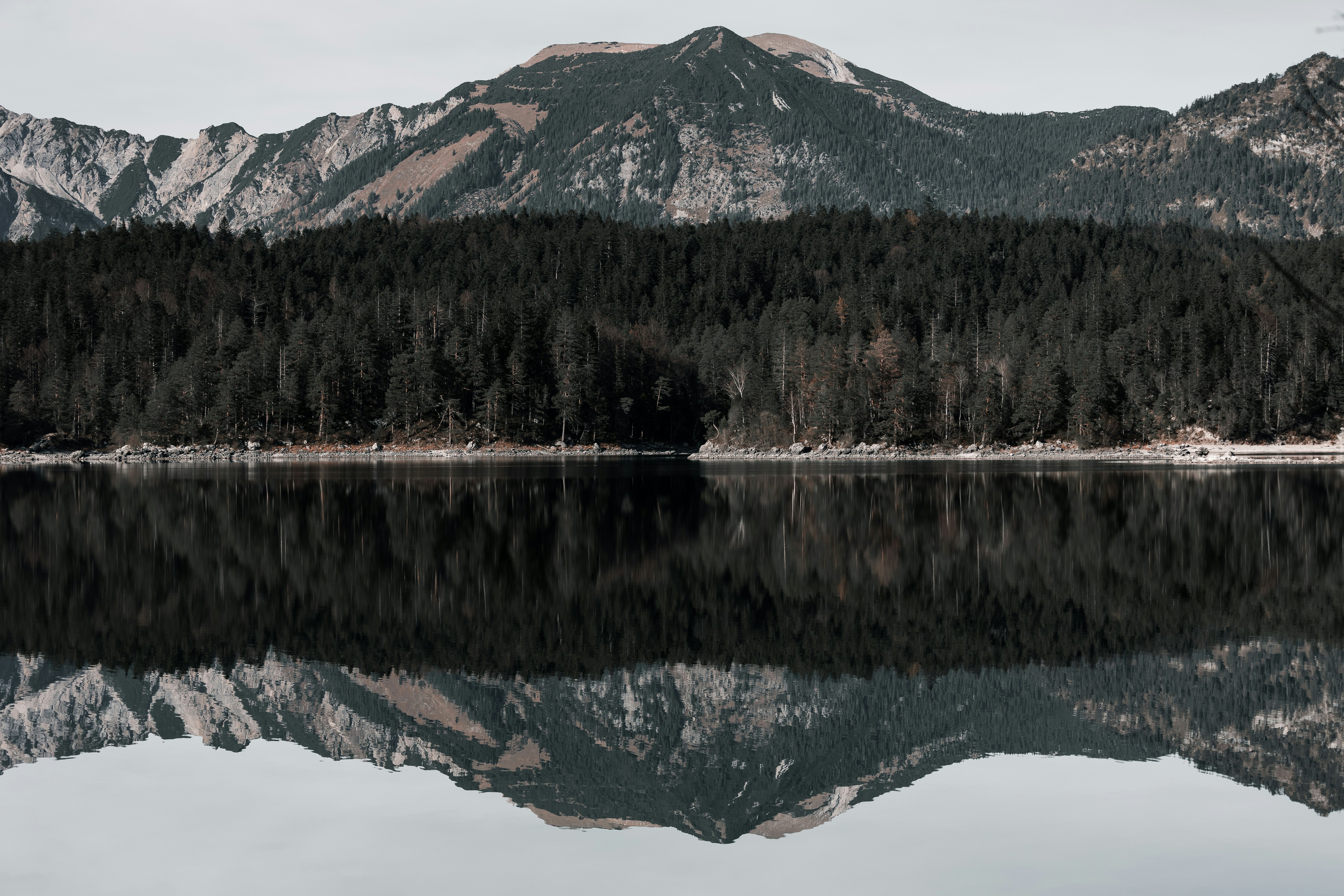 Photo by elisamoldovan