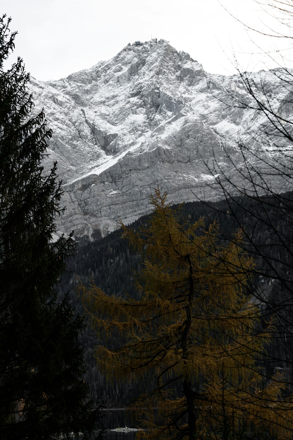 Ein schneebedeckter Berg mit Bäumen