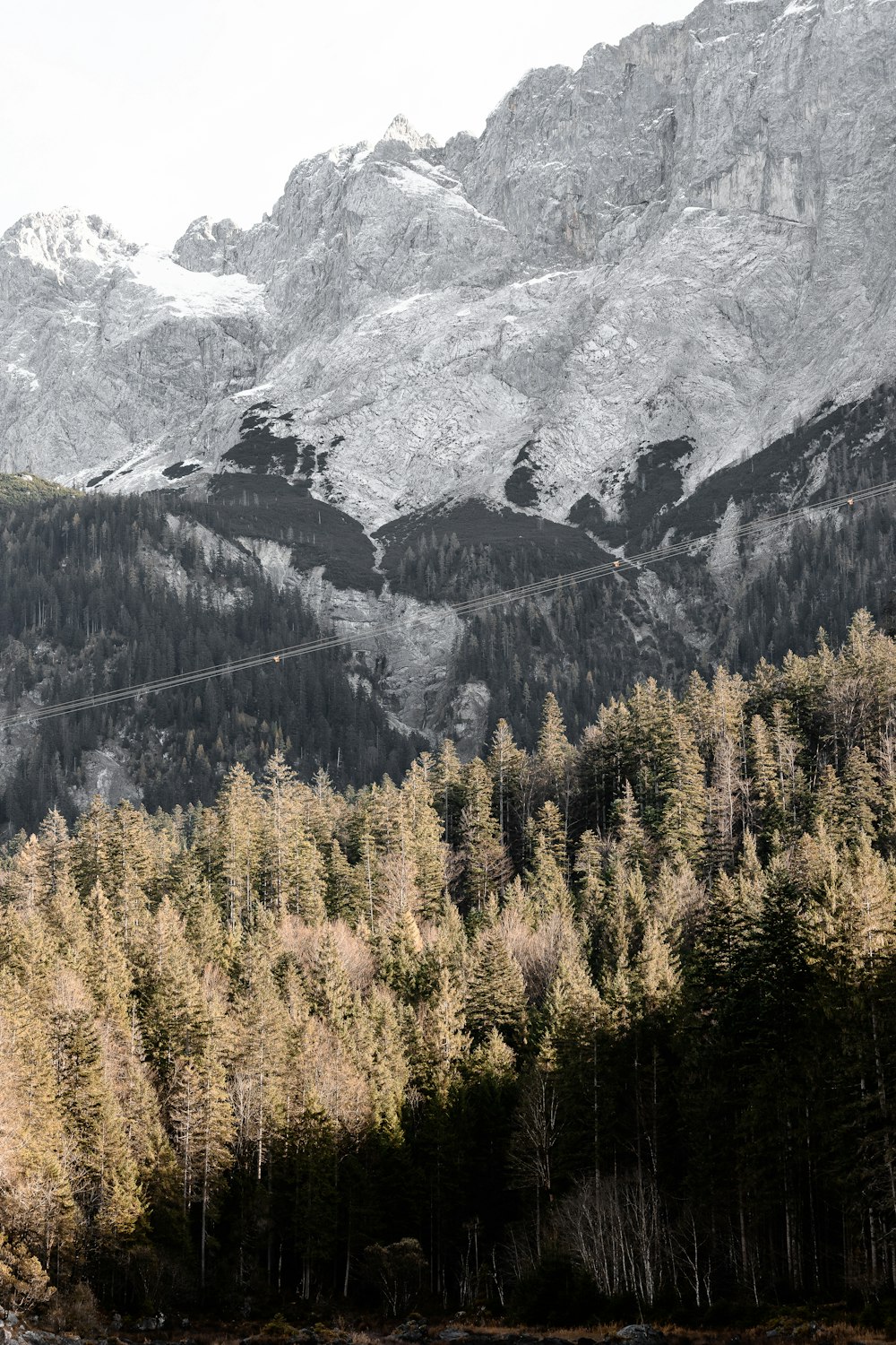 Una montagna con alberi e neve