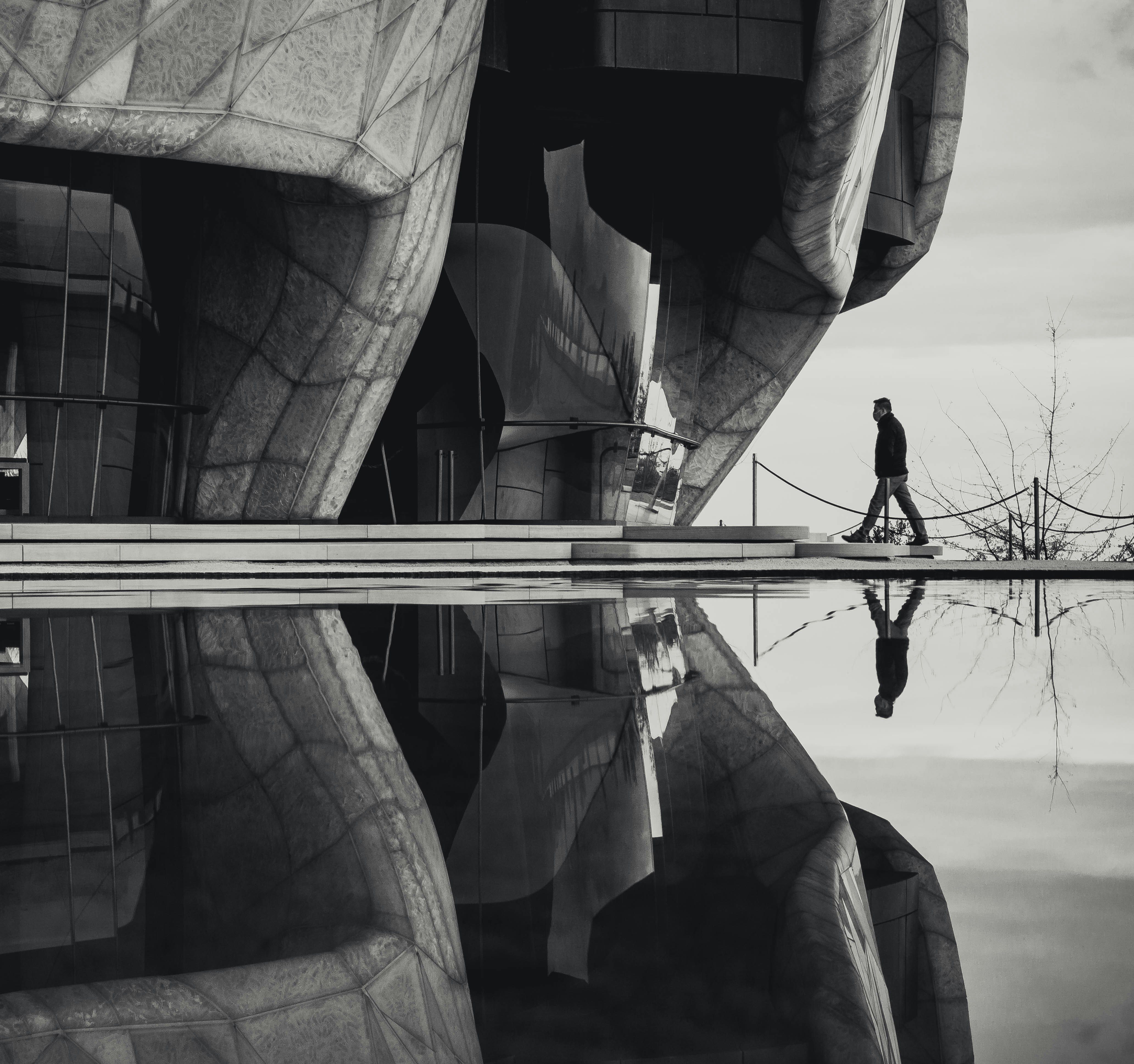 a person standing on a ladder