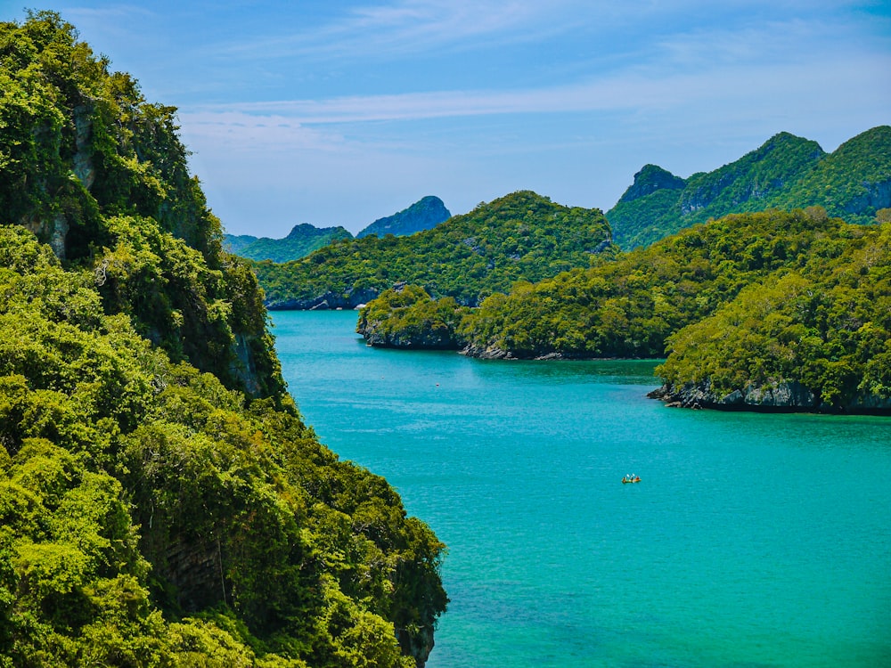 a body of water surrounded by trees