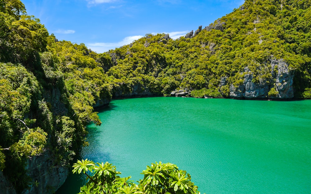 a body of water with trees on the side