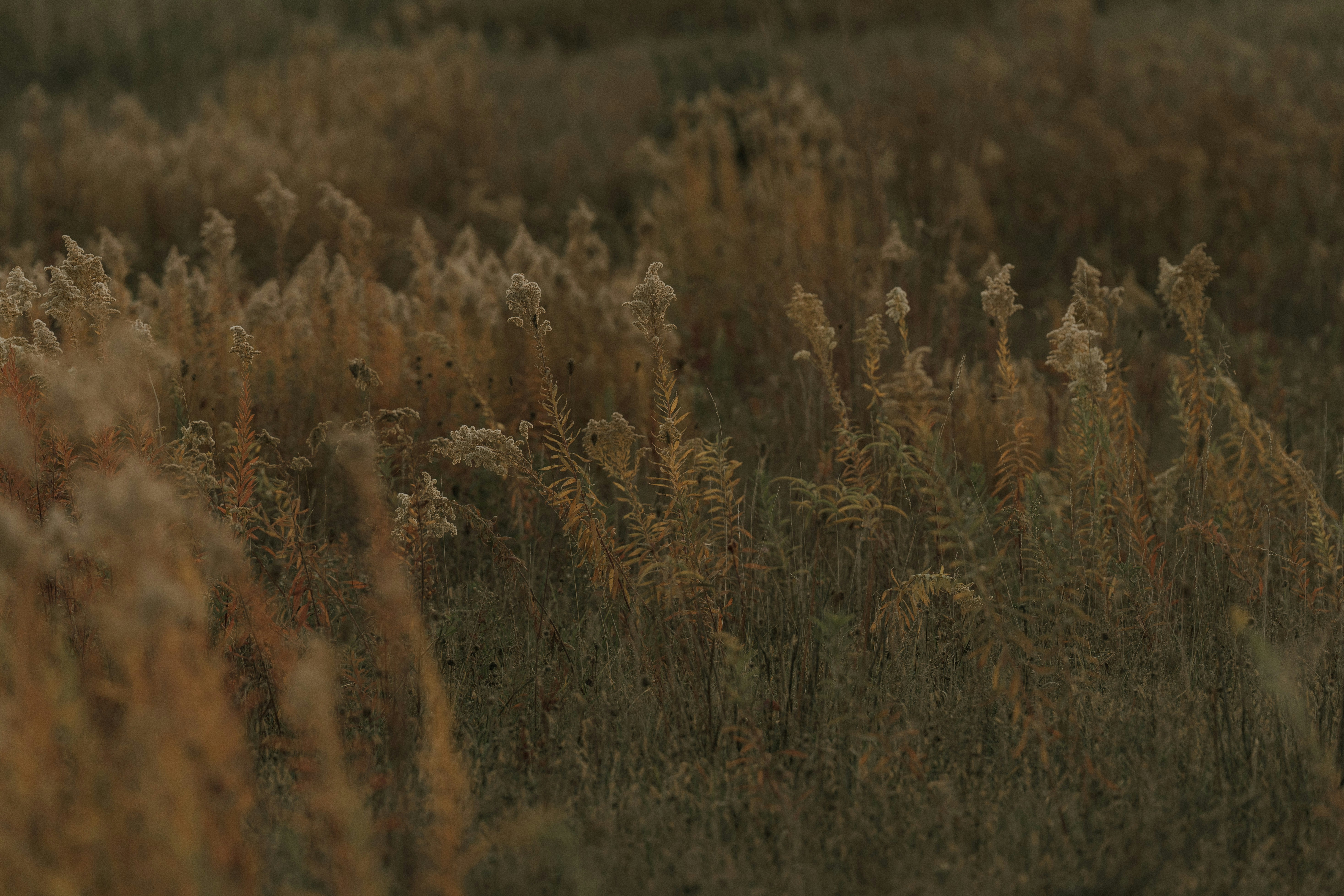 Photo by nomadicfitlust