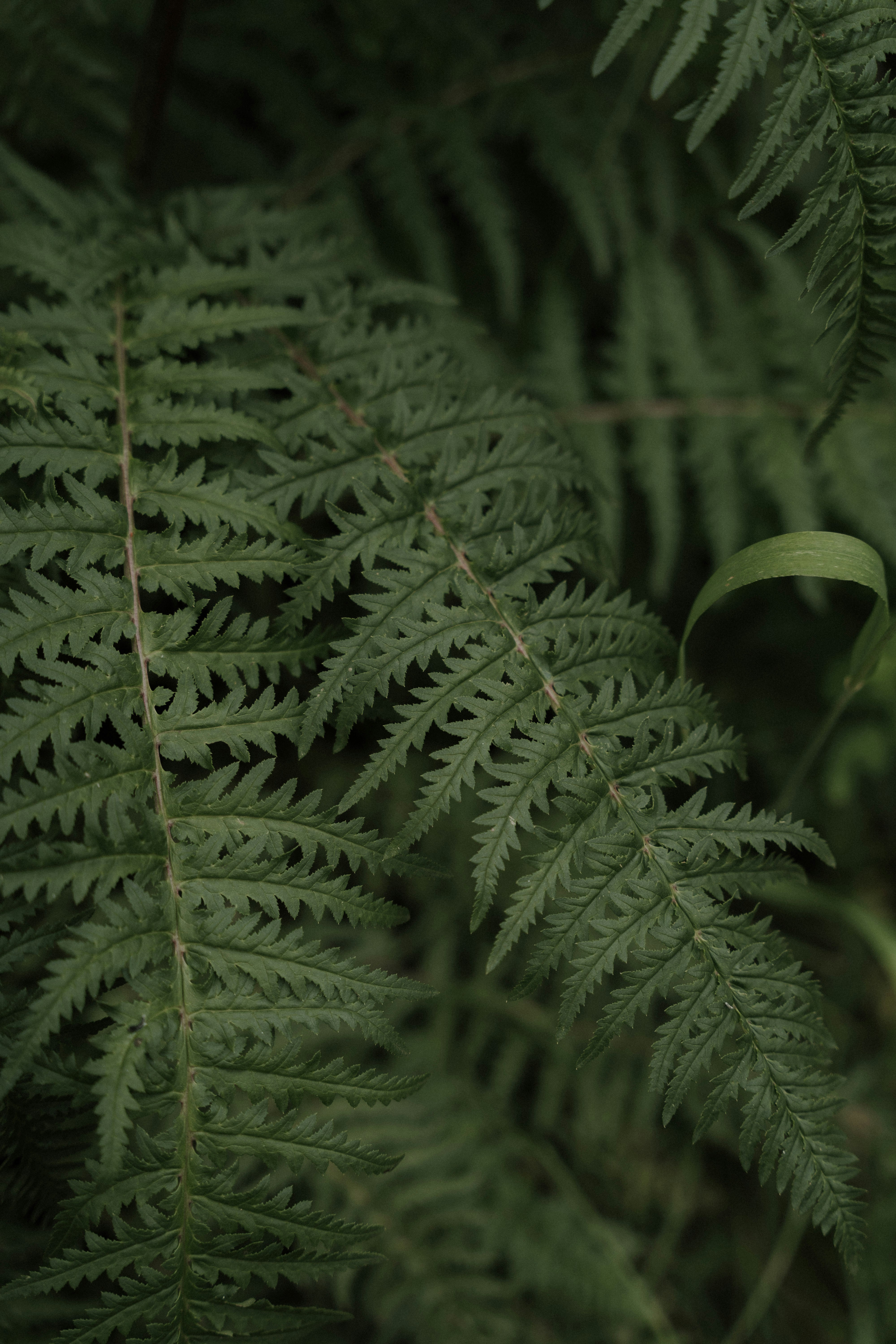 Photo by nomadicfitlust