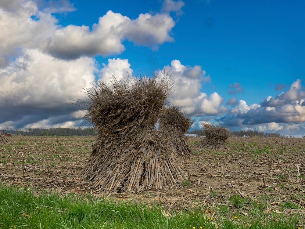 a large pile of hay in a field