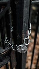 a close-up of a bicycle handlebar