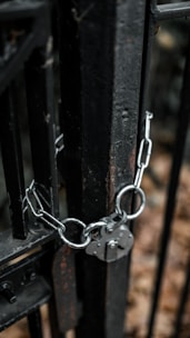 a close-up of a bicycle handlebar